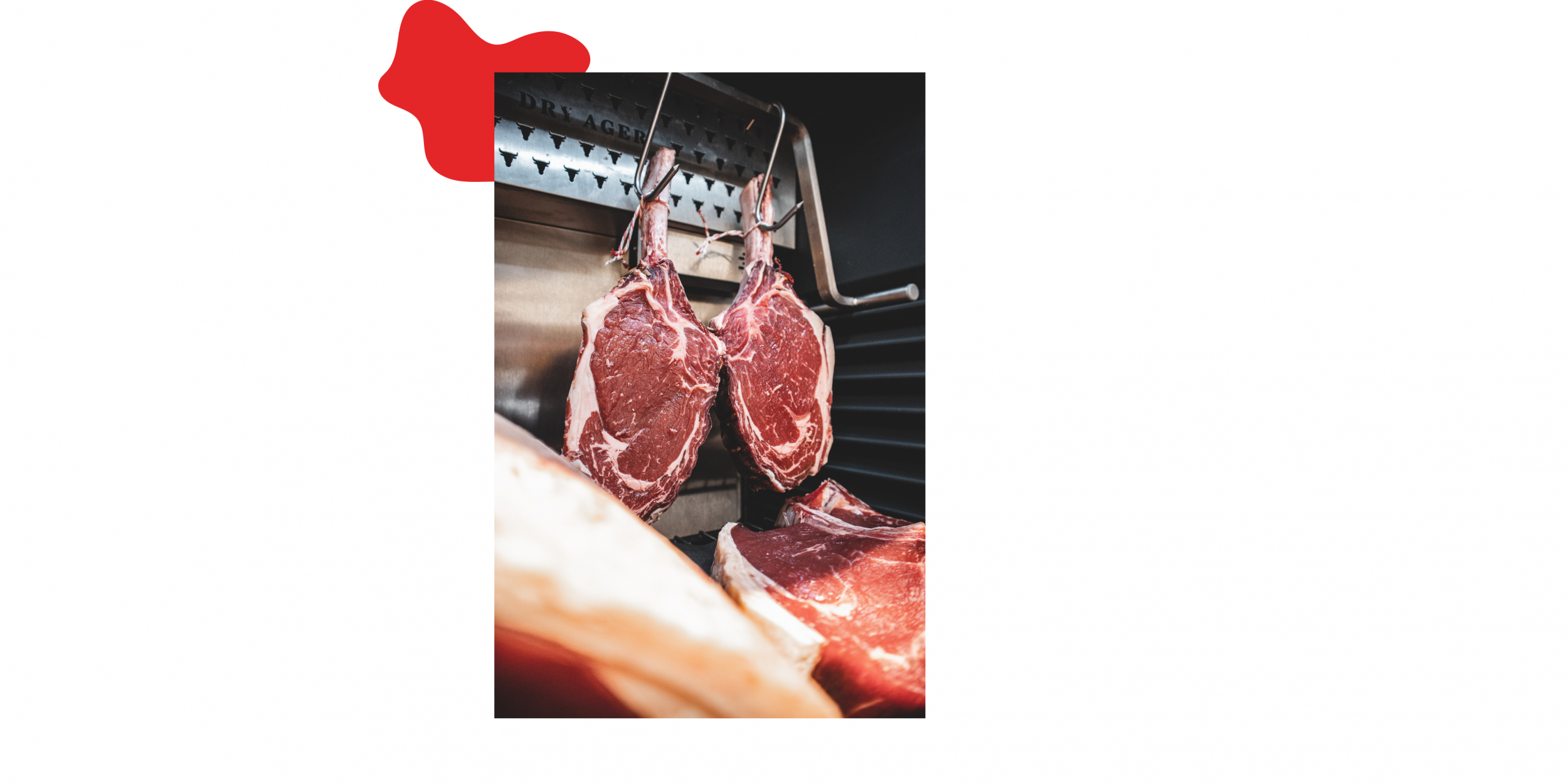 vleesprijs-en-zuivelprijs-hebben-invloed-op-dierenwelzijn.jpg