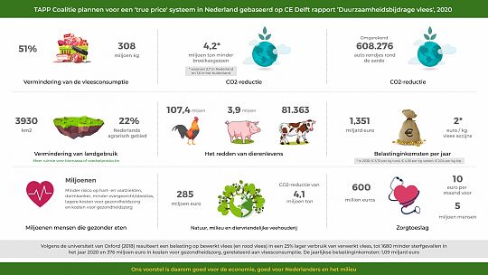 Infographic-Design-NL-1595517529.jpg