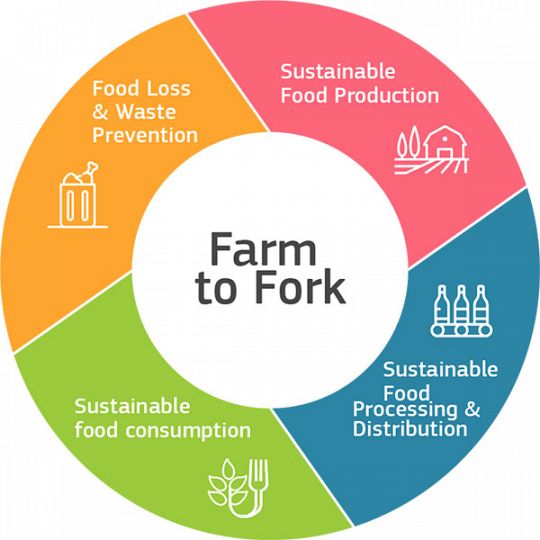 food-farm2fork-ring-1625566506.jpg