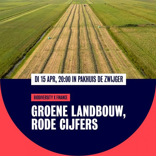 pakhuisdezwijger-1744823168.jpg